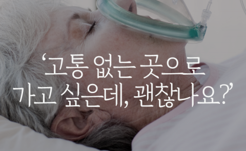  ‘고통 없는 곳으로 가고 싶은데, 괜찮나요?’