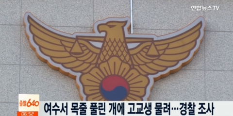 여수서 목줄 풀린 개에 고교생 물려···견주 과실치상 혐의로 입건