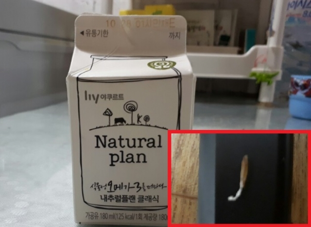문제가 된 한국야쿠르트의 우유제품. 우측하단 작은사진(붉은색 네모)은 해당제품에서 나온 이물질을 제보자가 촬영한 것이다.