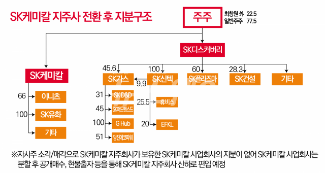 SK케미칼, 지주사 전환 확정···사업회사도 제약·화학 부문으로 분할 예정 기사의 사진