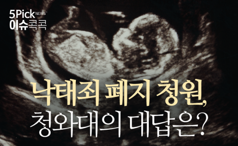  낙태죄 폐지 청원, 청와대의 대답은?