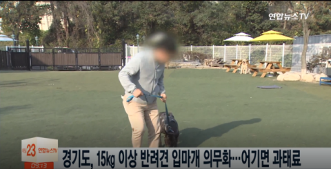 경기도 “무게 15kg 이상 반려견 입마개 의무화···목줄 길이 2m 제한”