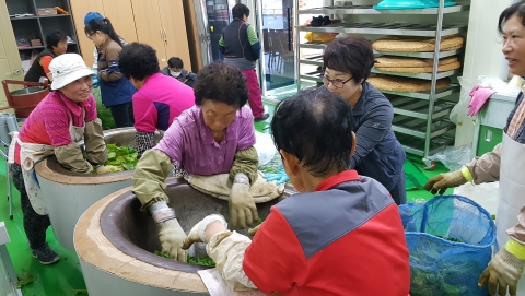 구슬땀 흘려 만드는 수제뽕잎차!교육 열기 뜨거워
