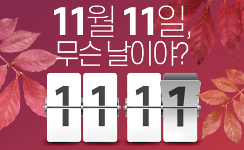 11월 11일, 무슨 날이야?