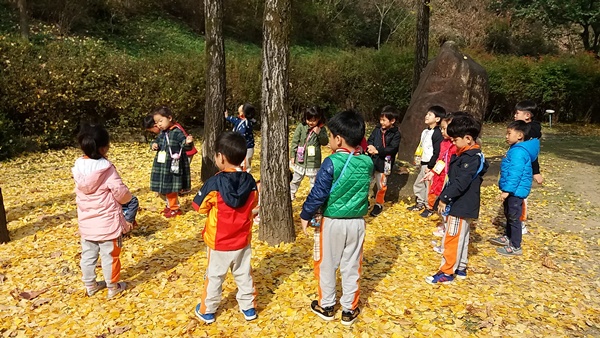숲 놀이터에서 아이들이 깊어진 가을 단풍을 관찰하고 있다.(사진제공=경상북도)