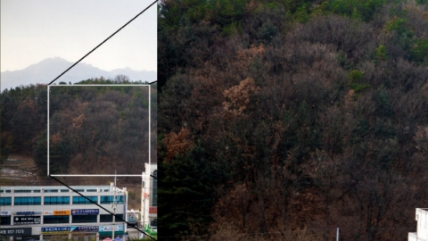 첫눈 왔지만 첫눈 아니다?···기상청 “공식적인 첫눈은 아냐”
