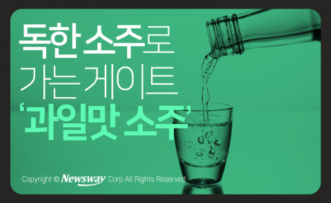 독한 소주로 가는 게이트 ‘과일맛 소주’