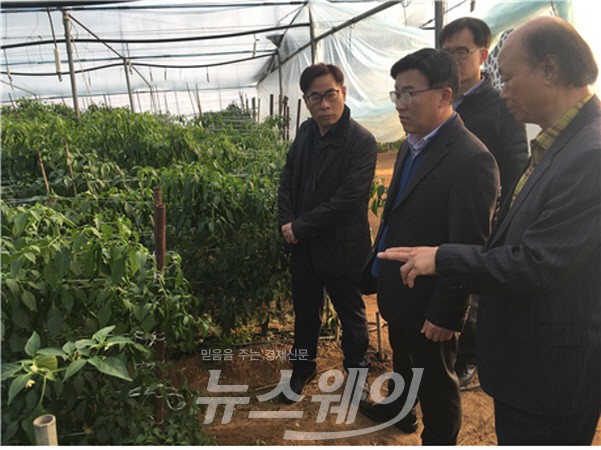 조병옥 영산강유역환경청장, 승촌보 주변 지하수 이용 시설하우스 시찰