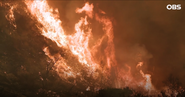 미국 캘리포니아주 로스앤젤레스 북부, 북서부에서 발화한 산불이 번져 인근 주민들이 대피했다 (사진 = OBS뉴스 캡쳐)