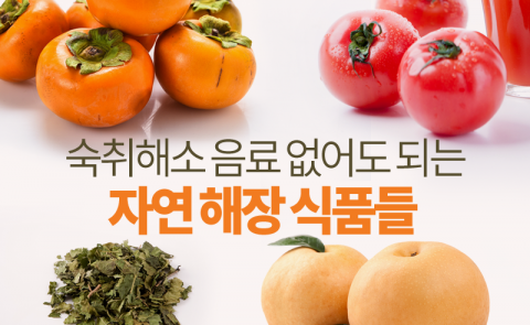 숙취해소 음료 없어도 되는 자연 해장 식품들