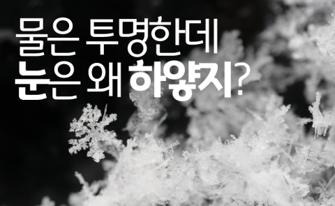 물은 투명한데 눈은 왜 하얗지?
