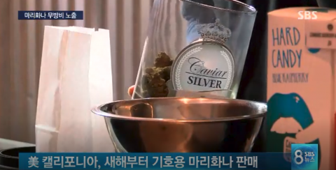 미국 최대 주 캘리포니아, 마리화나 합법화···인천세관 밀반입 단속 실시