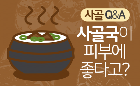 ‘사골국은 피부에 좋다?’···사골 Q&amp;A 모음