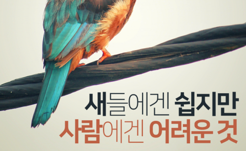 새들에겐 쉽지만 사람에겐 어려운 것