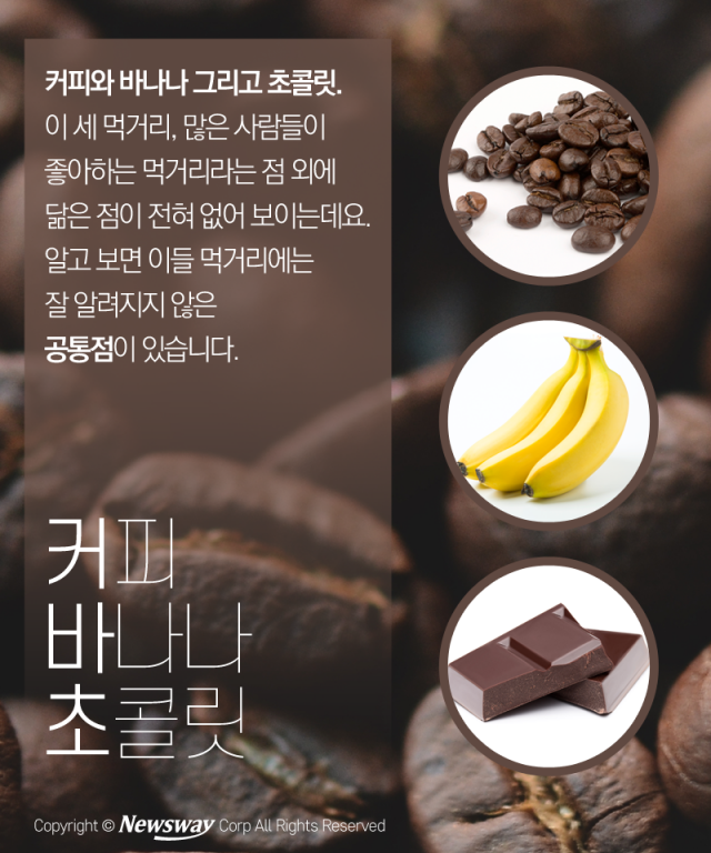 커피·바나나·초콜릿의 공통점을 아시나요 기사의 사진