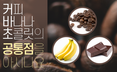 커피·바나나·초콜릿의 공통점을 아시나요