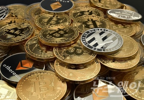 가상화폐 다단계 사기조직 적발···투자자 583명에 37억원 편취