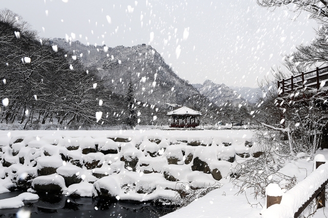 설국(雪國)으로 가는 내장산, 겨울 비경을 즐기세요!