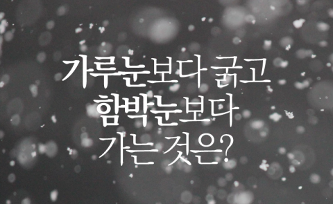 가루눈보다 굵고 함박눈보다 가는 것은?