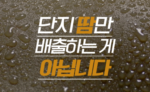 단지 땀만 배출하는 게 아닙니다