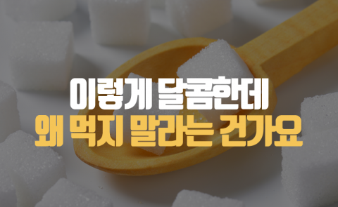 이렇게 달콤한데 왜 먹지 말라는 건가요
