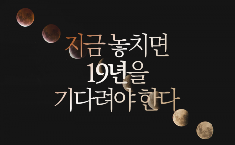 지금 놓치면 19년을 기다려야 한다