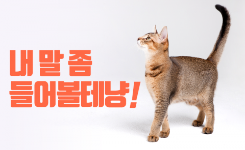  내 말 좀 들어볼테냥!