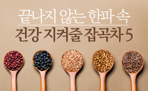 끝나지 않는 한파 속 건강 지켜줄 잡곡차 5