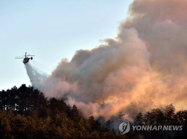 삼척 산불···산림청, 헬기 19대·진화인력 1200명 투입. 사진=연합뉴스