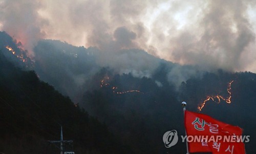 강원도 삼척시 노곡면 하마읍리에 산불이 발생했다. 사진 = 연합뉴스 제공
