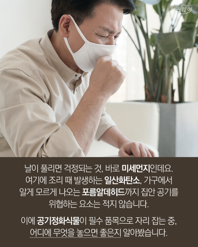 공부방과 화장실에 놓는 식물, 이렇게 달라요 기사의 사진