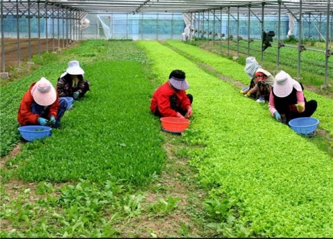 진안군, 친환경농업 지원확대 총력!