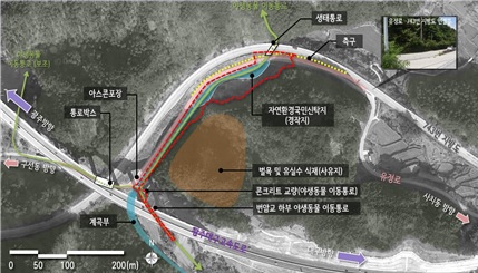 백두대간 사치재 생태축 복원 계획(안)