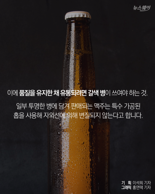 소주병이 녹색인 이유 기사의 사진