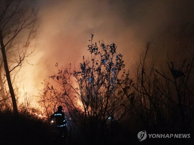 연중 3월 산불 가장 많이 발생···건조한 날씨가 원인. 사진 = 연합뉴스 제공
