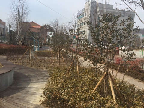 부안군, 향기 나는 도심 가로환경 조성 집중