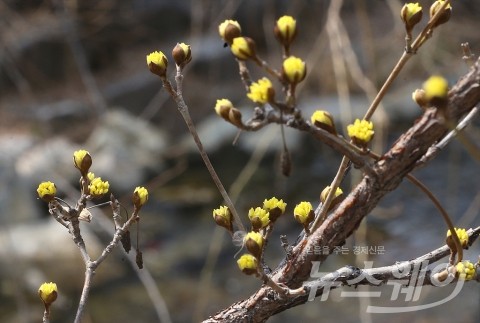 봄바람 따라 함께 온 ‘청명’과 한식’···‘청명한식’의 유래는?