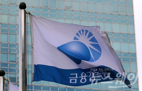 말로만 경증치매 보장···금감원, 치매보험 불완전판매 점검