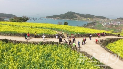 &quot;완도 청산도에서 ‘봄의 왈츠’ 들어보세요!&quot;