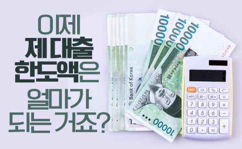 이제 제 대출 한도액은 얼마가 되는 거죠?