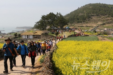 완도 청산도슬로걷기 축제 내달 7일 시작