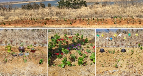 고흥군, 해창만 유휴지에 ‘한평 정원’ 개장