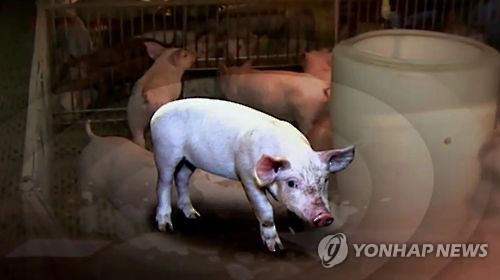 경기도 안성서 구제역 의심 젖소···오늘 저녁 결과 발표 예상 기사의 사진