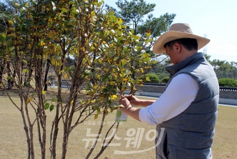 광주지방보훈청, ‘청렴나무 명찰 부착 및 청렴캠페인’ 실시