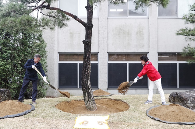 문재인 대통령 내외가 5일 소나무를 청와대 여민관 뜰에 심는 모습. 사진=청와대 제공