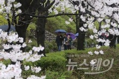 [내일 날씨]전국에 봄비 내리는 춘분···밤에 대부분 그쳐