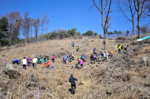 산림조합중앙회, 식목일 나무심기 행사 및 산불예방 캠페인 전개