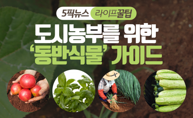 도시농부를 위한 ‘동반식물’ 가이드