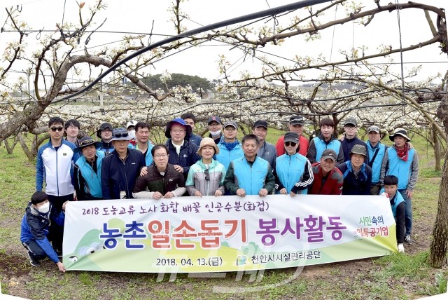 천안시 시설관리공단, 농촌 일손돕기 봉사 앞장서
