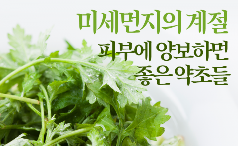 미세먼지의 계절···피부에 양보하면 좋은 약초들